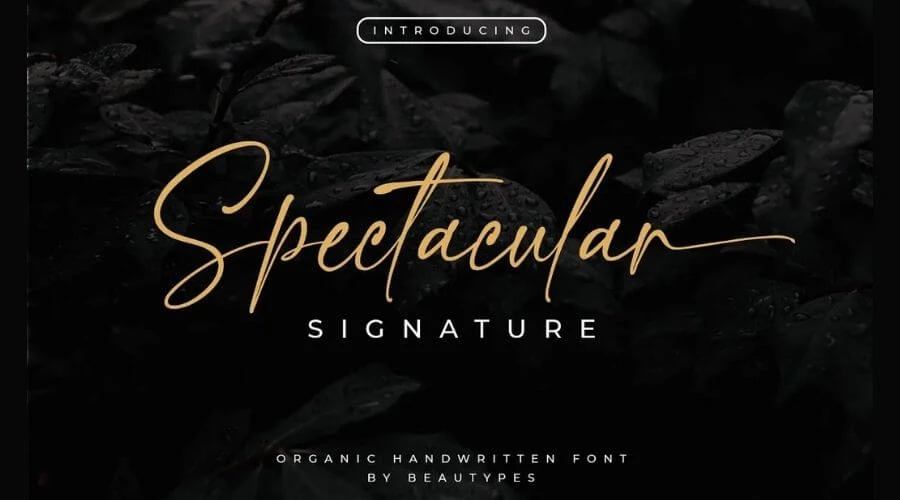 Spectacular-Font-View