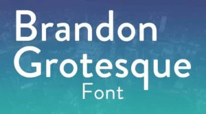 Brandon grotesque fonts family free download