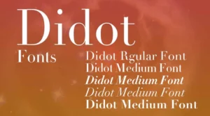 Didot Font Family Free Download