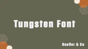 Tungsten Font Free Download