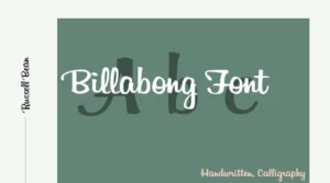 billabong font free download