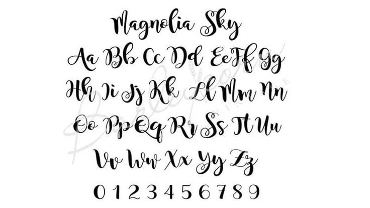 Magnolia-Sky-Font-View