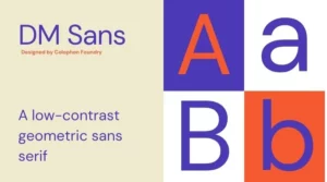 DM Sans Font Free Download