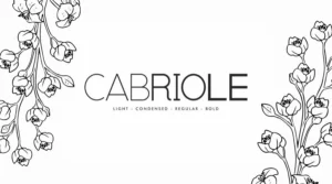 Cabriole Sans Serif Font Download Free