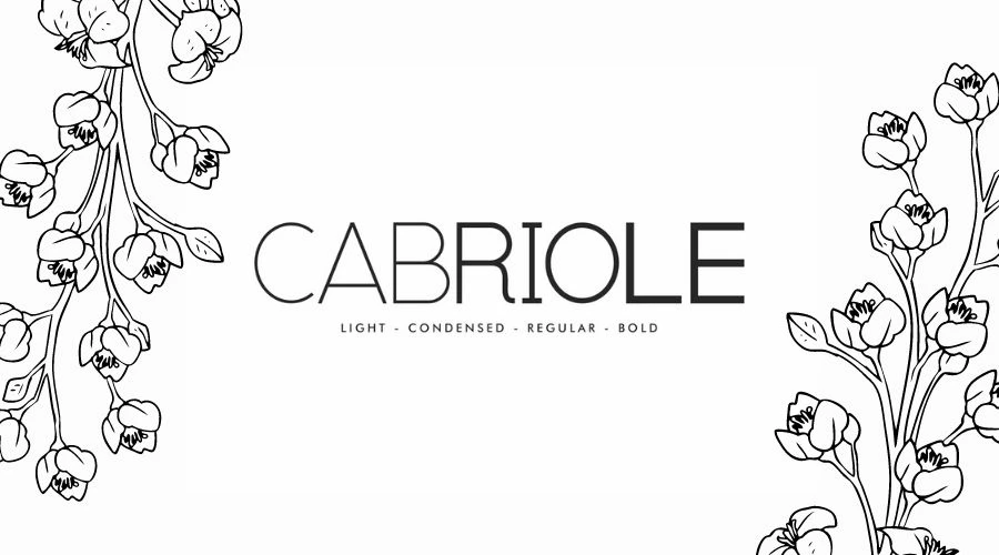 Cabriole-Sans-Serif-Font-Download-Free