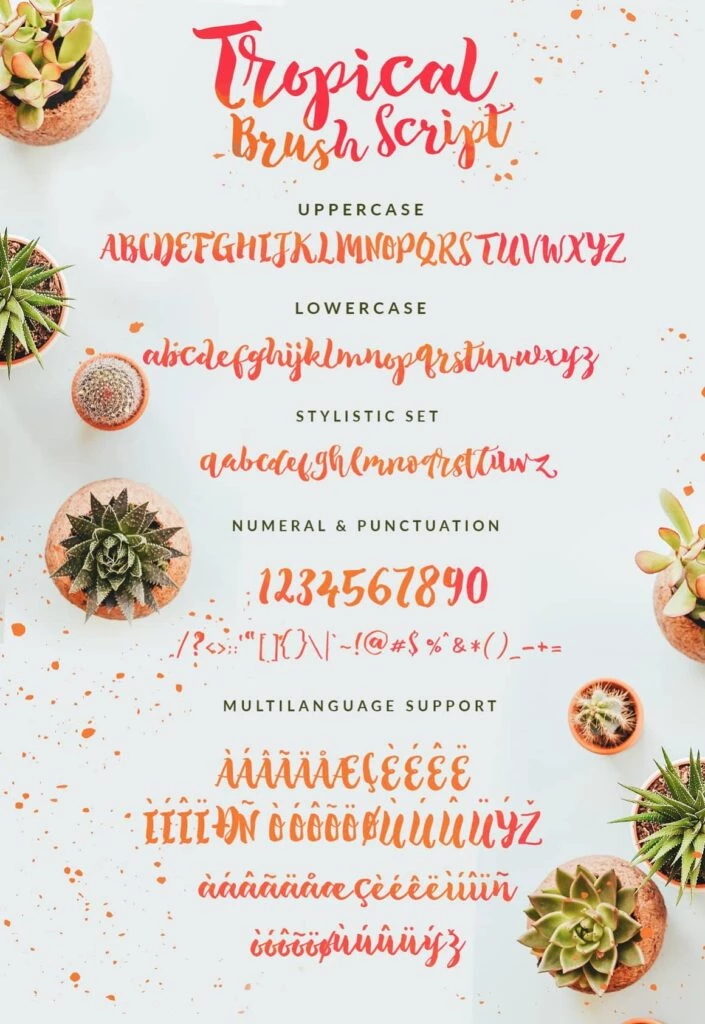 The-Tropical-Script-Font-View