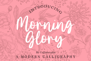 morning glory font