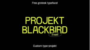 Project Blackbird Font Download Free