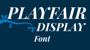 Playfair Display Free Download