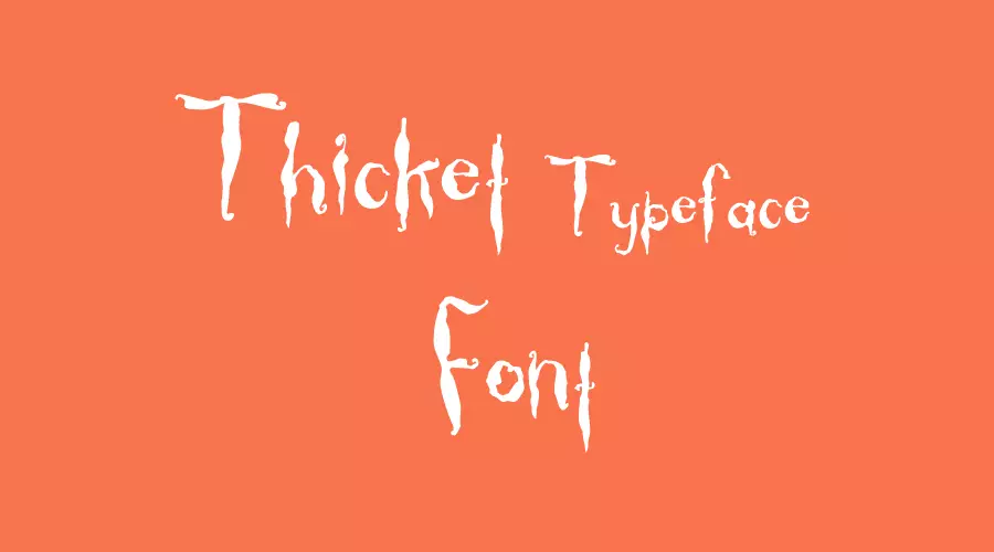 Thicket Typeface Font