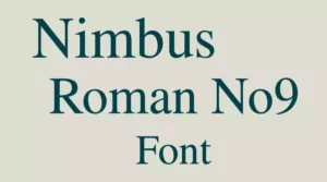 Nimbus Roman No9 L Font