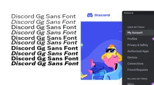 Discord GGSans Font