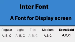 Inter Font Display View