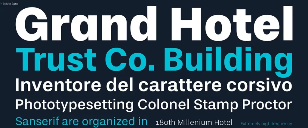 Stevie Sans Font View