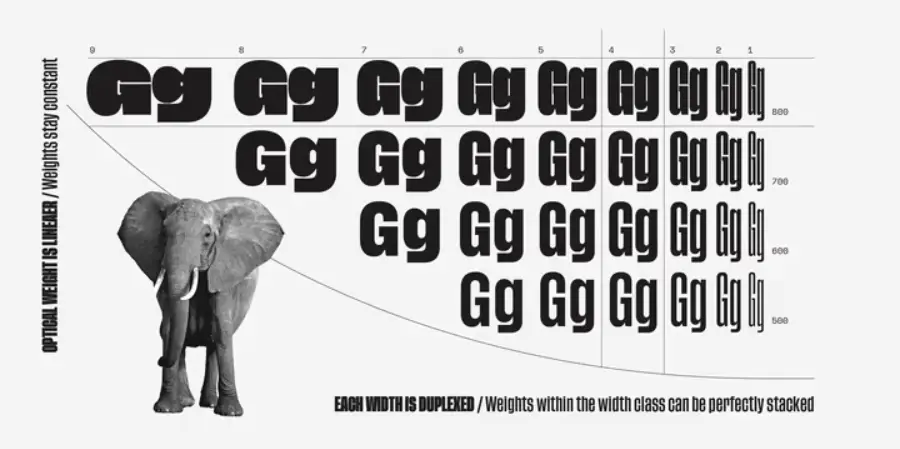 Tusker Grotesk Font weights