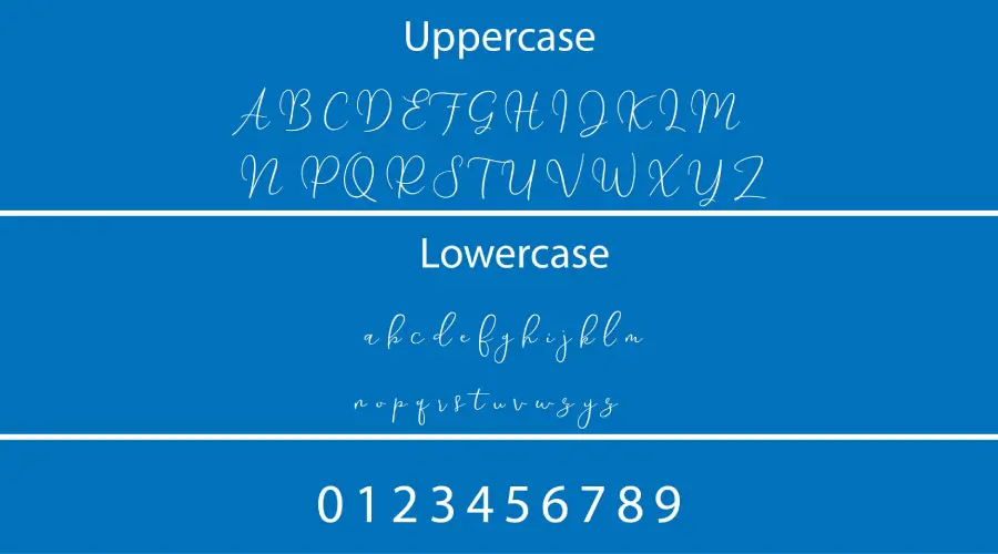 Yolan Script Font Characters View