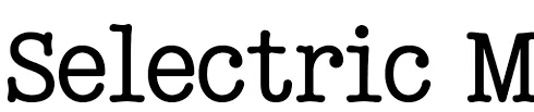 Selectric Melt Font