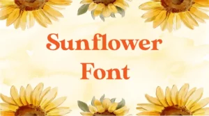 Sunflower Font