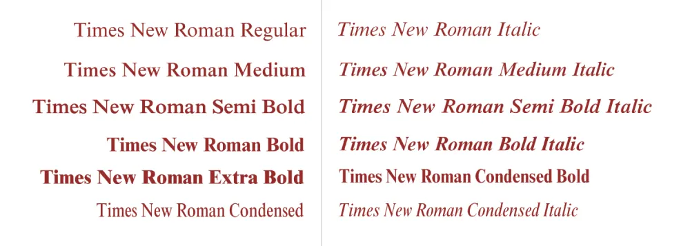 Times New Roman Font Family