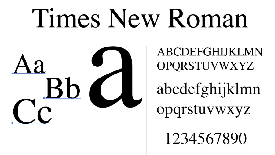 Times New Roman Font Specimen