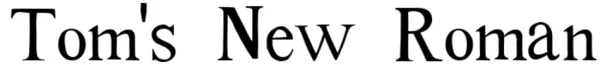 Toms New Roman Font View