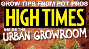 High Times magazine Font