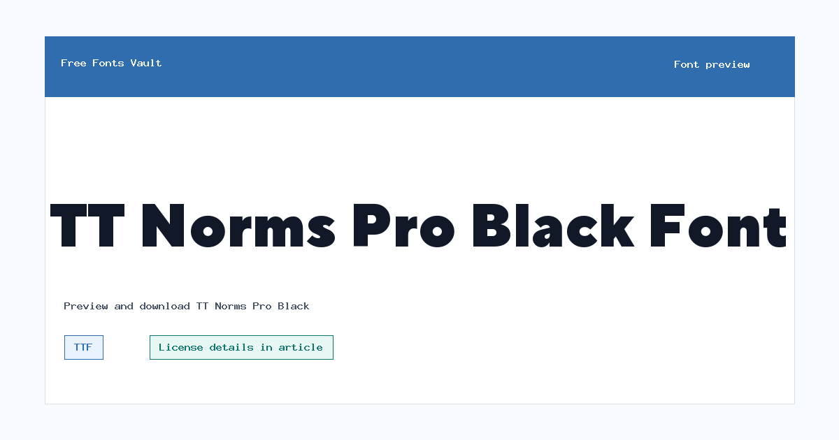 TT Norms Pro Black font preview showing the family name
