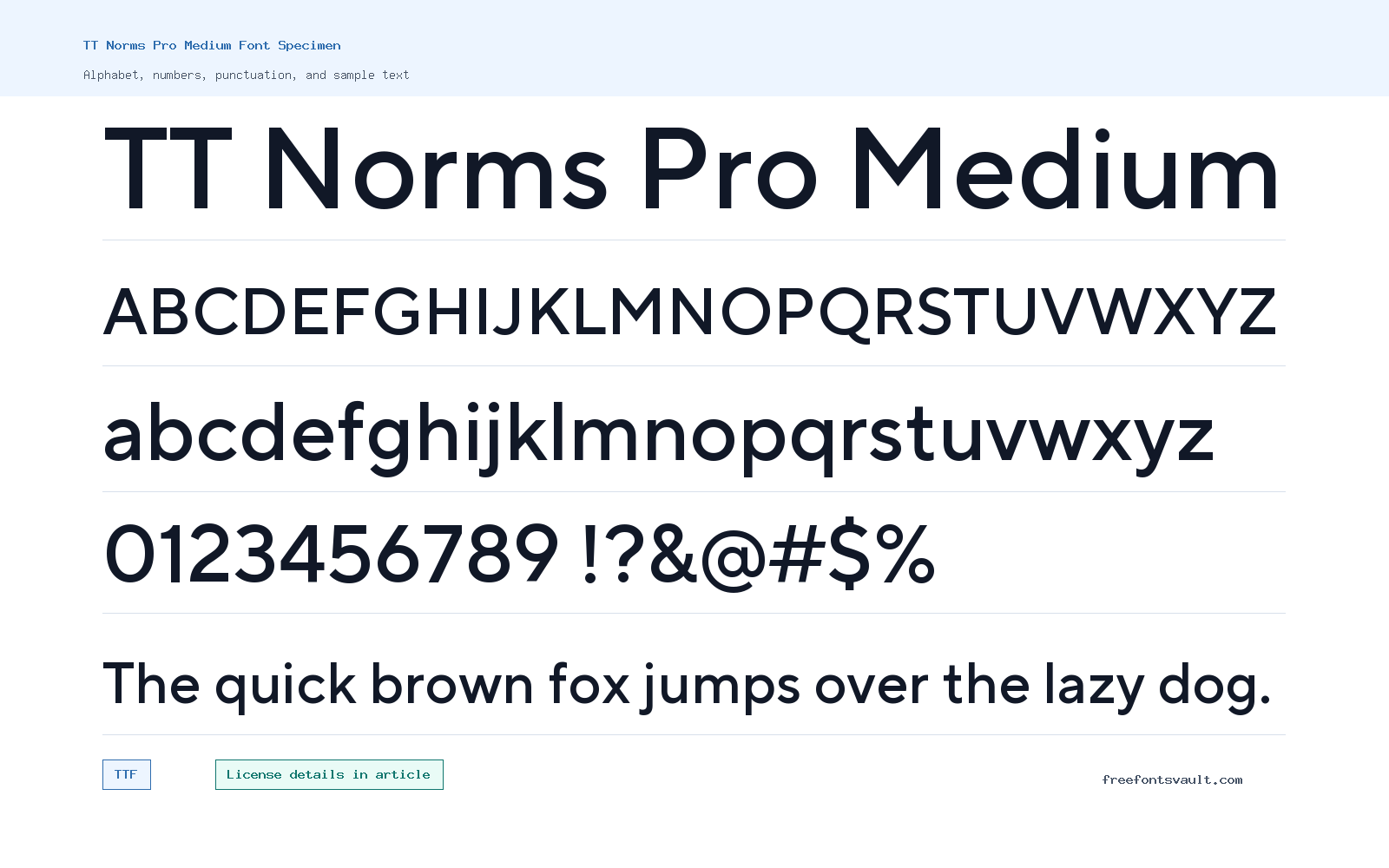 TT Norms Pro Medium font specimen showing alphabet, numbers, and sample text